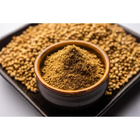 Du latin coriandrum, la coriandre est une plante aromatique