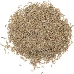 Au moyen Age en Europe, les potages, le pain, la volaille, les gâteaux et le poisson étaient "cominés"