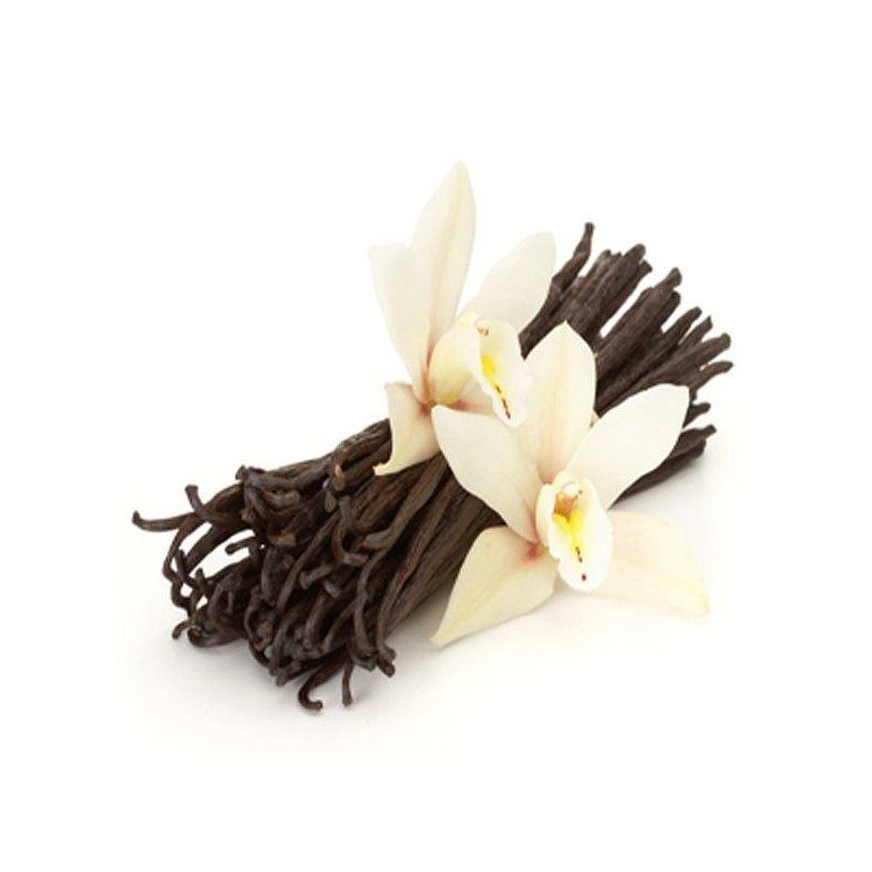 Vanille planifolia  de Madagascar