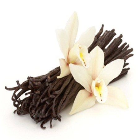 Vanille planifolia  de Madagascar