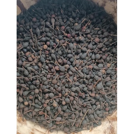 Poivre sauvage de Madagascar "Voatsiperifery"